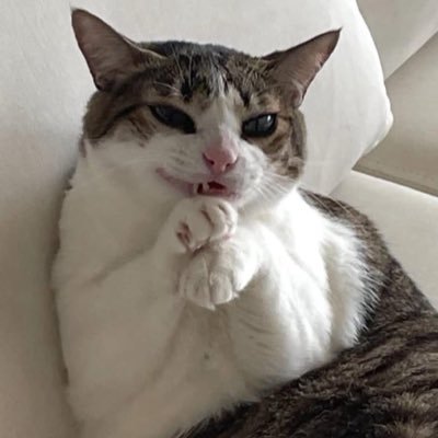 Tsubakineko21's profile picture. Nyaaa