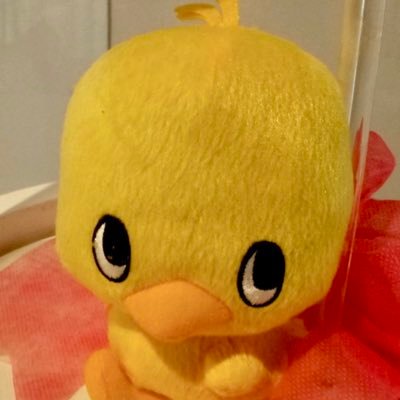 y9u271828's profile picture. 