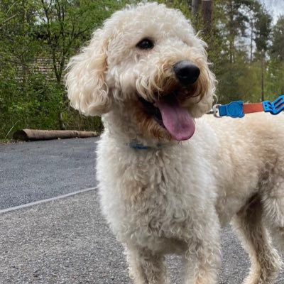 SteveSinghR's profile picture. Love my family! LFC fan, love them Reds!