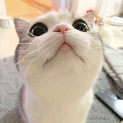 kotora_fn's profile picture. 🇯🇵 | 14yo | Team @EGK_FNteam
                              
        👑@flagfn_7 @rehxfv777 @NXSRpaz