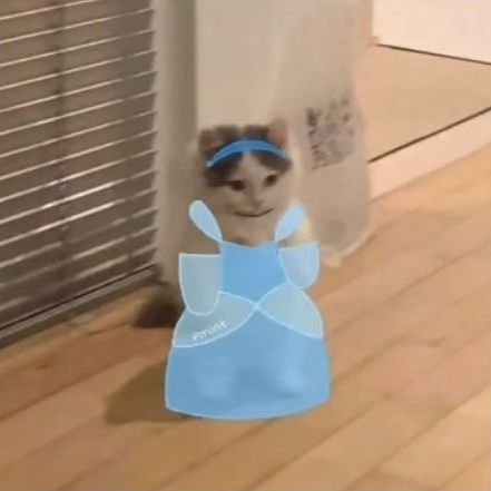 biscoffantasia's profile picture. live laugh love leon ysmael