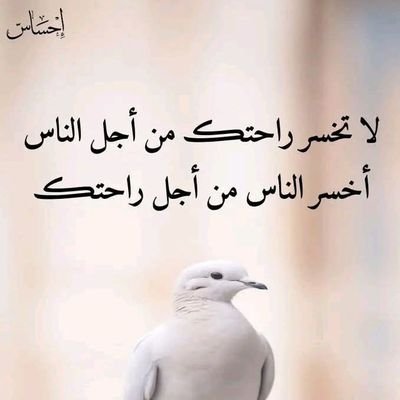 alymnyhsn600's profile picture. اللهم يا مقلب القلوب ثبت قلوبناء على دينك