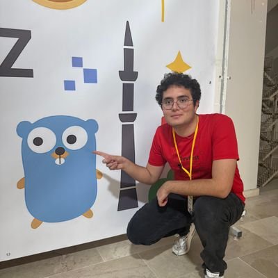 mbugrademirbas's profile picture. Engineer & Developer