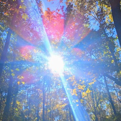 SueKane88951245's profile picture. The Best is Yet to Come
No DMs