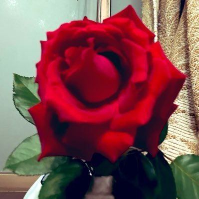 nitta_0_yukiko's profile picture. 