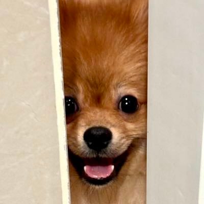 eddiearc6's profile picture. 刚好踏入高考及格线（三本）的前字节跳动工程师🧑‍💻
正在构建我自己的AI产品🔨  
费曼学习法践行者