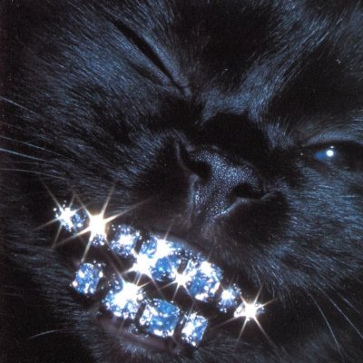 neuralpulse1's profile picture. Human thoughts, digital dreams. 🤖