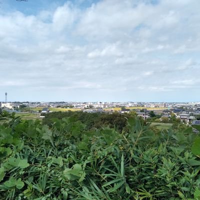 hinakoOkamoto's profile picture. 