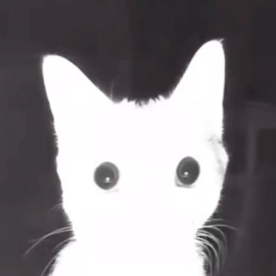 U_U__32's profile picture. 