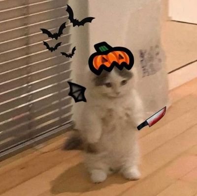 glubzin_'s profile picture. eu 
amu meu amigu e mulheres divas e nb 🩷🌷
ele/ela