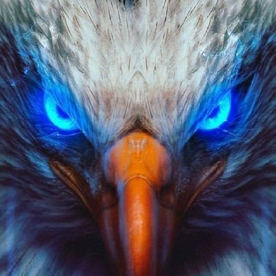 bd_mhmd6322's profile picture. 