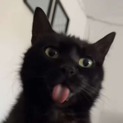 Portos97's profile picture. 🇵🇹🇮🇹 Drama queen de 28 ans, grande fana de bcp de choses et photographe de caisses à ses heures perdues, F22 220d /// Insta 📸 : art_sur_roues 🔥