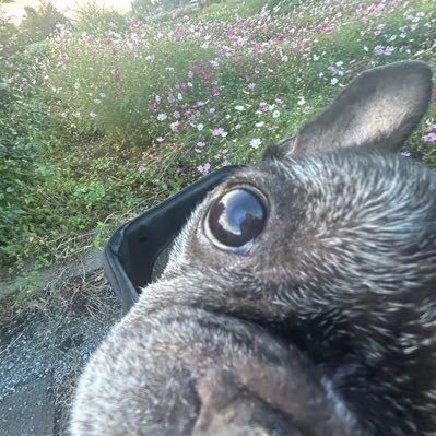 nkchn_142561's profile picture. 