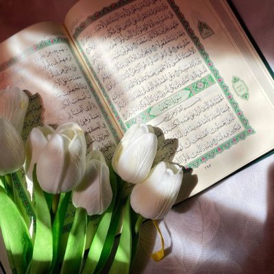 shahida_qasim's profile picture. 🇵🇰🕋🇵🇰