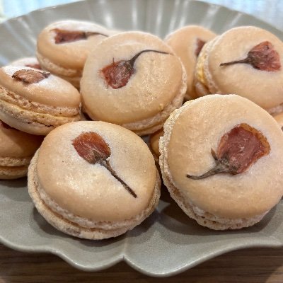 lnshush216664's profile picture. ビガミしたりCOCしたり北アザしたり料理したり。
北アザ【Eno.2582】澤田　小倉【Eno.2431】黒木　イチイ