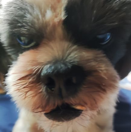 cirofspessoaa's profile picture. 