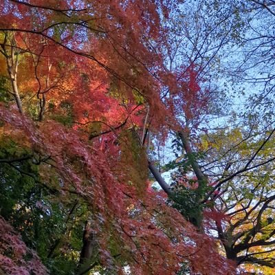 YFIOtzxTZLw8GH1's profile picture. 