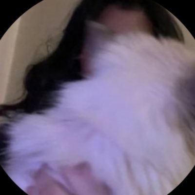 ui6ali's profile picture. 