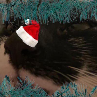 xdandly_'s profile picture. I like Minecraft. Life Series 🚦🚦 RIP Jellie 🕊️ He/Him || #VOTESCAR FOR BEST MC STREAMER!