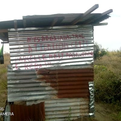 KManguata93474's profile picture. 