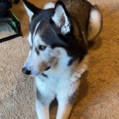 B_Koehler3's profile picture. 🏳️‍🌈 Extreme weather nerd 🌪️