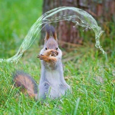 Burndawg1776's profile picture. Comic books bought, sold, & graded! #Comics #ComicBooks #PS4Pro #Playstation #Gamer #Chef #like . “What’s the Terps my Perps?”©️ now on Gamepass!