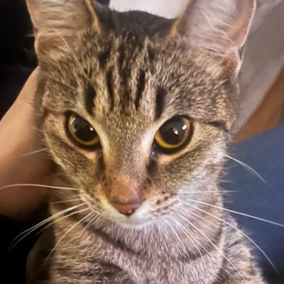 essalm1's profile picture. 