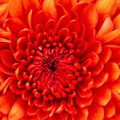 AkasFatih97501's profile picture. 