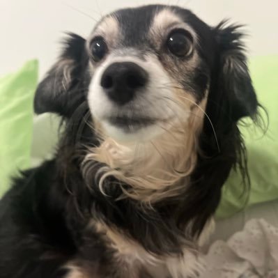 MillyMarksxxx's profile picture. 18+ Big heart...bigger tits! https://t.co/sYRl79xNIr https://t.co/rlZtyWxn6G