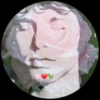 TheLizarKing75's profile picture. 🌸❤🦎 F y R Se aman.