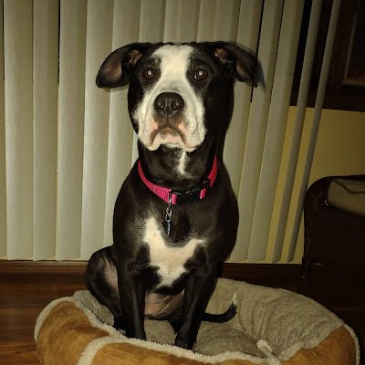 gabeflores32's profile picture. 