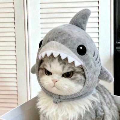 Revilo_08's profile picture. Leftist. Vote Greens 💚