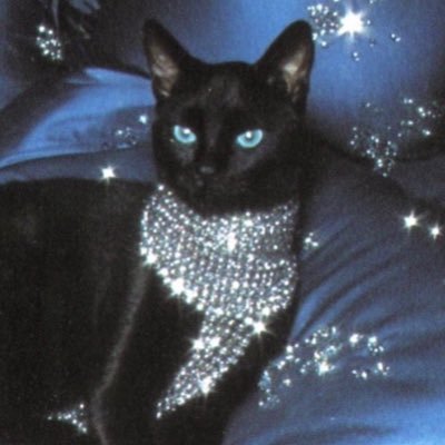 iambiggyburger's profile picture. . .سبحان الله وبحمده.🇵🇸🇸🇩🇨🇩