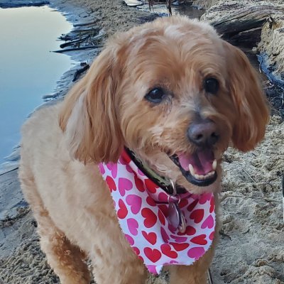 GreatLakesNorth's profile picture. 