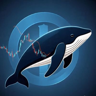 Black_Whale_1's profile picture. Trader, Crypto vendor and a blockchain and web3 enthusiast and Airdrop hunter.