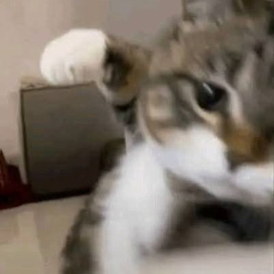 PMoca84208's profile picture. 