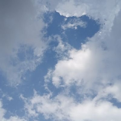 Samuel833358495's profile picture. I am Samuel