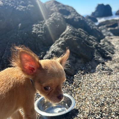 Boobear89777424's profile picture. I’m just a mom, who is Pro~ Life= every LIFE,is precious , regardless of skin color, religious affiliation, human, & non~human❤️🇺🇸🙏🏻💙