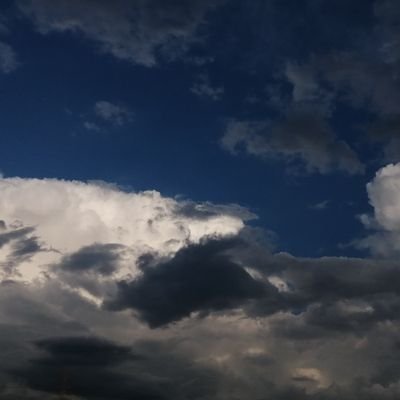 yunikuuuuuu's profile picture. 18↑ 関東住み 喫煙者 最近暇なんでペット欲しくなって作りました