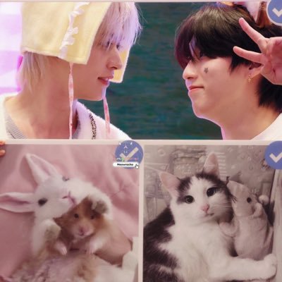 2sngmiin's profile picture. Don't bring up minsung in front of her ass this is the scariest shit I've ever seen || MINSUNG LIVE 26/06/25