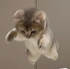 mobi_rno61's profile picture. 뀨 윙 그리고 然