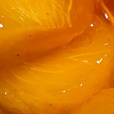 xuKErhKLoP26904's profile picture. twst njsnj ♡🔁ばっか  いつも鍵でコソコソと楽しんでたからまだ人の営みに慣れていない猿