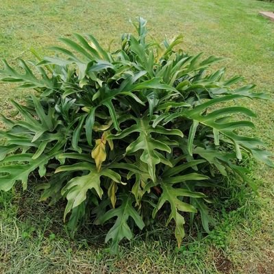 LMutai's profile picture. personal power,trust,affirmation and integrity is what I value most