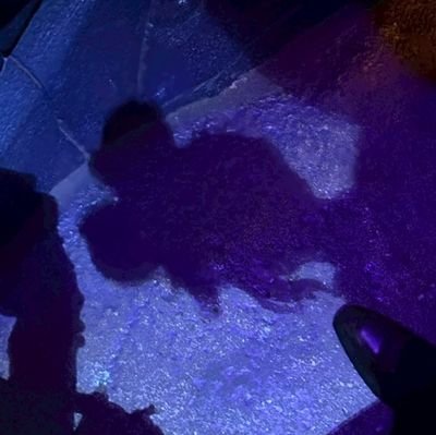 uni_akande's profile picture. 関東 成人済🔰 🚺ﾄﾞ加工