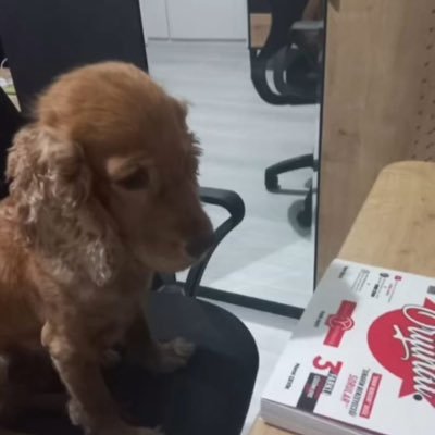 mrayyyu's profile picture. 