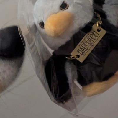 dosanko_50's profile picture. 犬とMGAとゲーム好き🍏🫶JAM'S夫、犬との激ゆるい3人暮らし𓃡ﾉｱｱﾄﾗTWLｾﾞﾝｼﾞﾝHarmonyﾊﾞﾍﾞ11/1,11/2参戦済 次12/20　北でひっそり看護師してます。ゆるい絵とか美しい絵とか好き。MGAに関しては熱い思いがありまくるけど顔に出ないタイプ。すぐいいねしてすいません。良いものは良い。