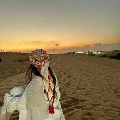 EmanKha55536825's profile picture. 