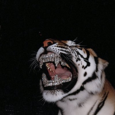 Dkonebosskk's profile picture. @IGdkchinboss