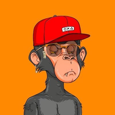 nftx_project_'s profile picture. follow for follow back 💯💯💯💯💯💯