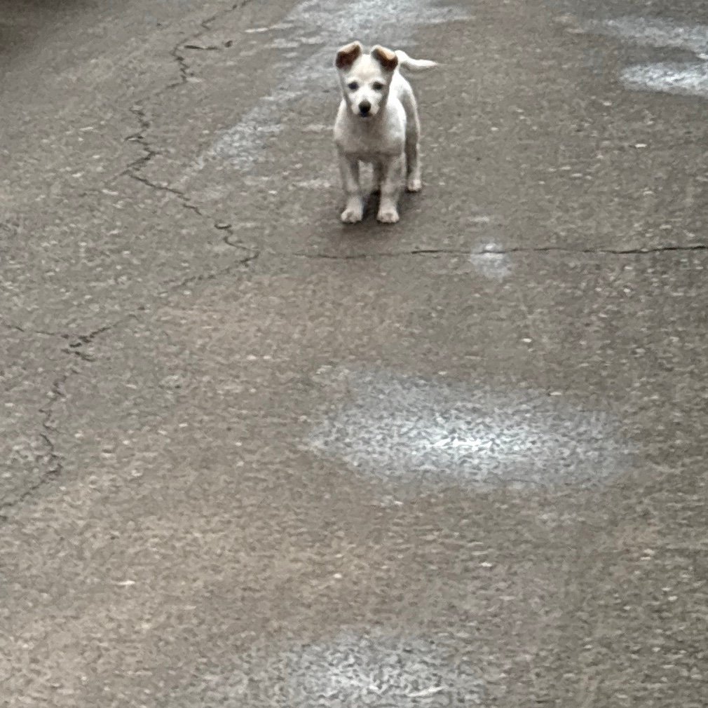 Odilove777's profile picture. 